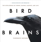 Bird Brains: The Intelligence of Crows, Ravens, Magpies, and Jays New edition