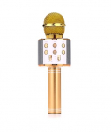 Manta MIC10-G