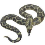 Gyvatė_pytonas 180 cm žalia