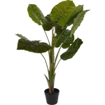 Dirbtinis vazoninis augalas ALOCASIA WENTII, auk&scaron;tas, 110 cm