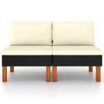 Vidurinės sofos，Poilsio sofa dalys, 2vnt., poliratanas ir eukalipto masyvas CFE71732