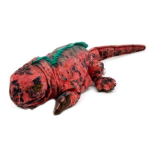 Nacionalinė geografinė: Pacikas naujas iguana