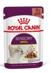 Royal Canin Sensory Smell Gravy konservai katėms, 12x85 g