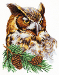 Siuvinėjimo rinkinys Magic Needle Owl 64-03
