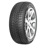 Minerva Frostrack UHP 205/55R16 91 H,