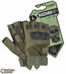 Pir&scaron;tinės Buzzard