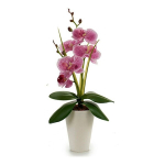 Dekoratyvinė Orchidėja, 8 x 35 x 14 cm