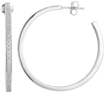 Apvalūs sidabriniai auskarai Beneto AGUP1177