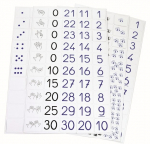 Magnetiniai skaičiai