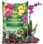 Orchidėjų substratas Planta 5 l
