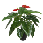 Dirbtinis augalas Anthurium, 45 cm