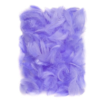 Plunksnos 5-12 cm, 10 g, violetinės