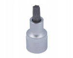 Antgalis Torx T40 x 53mm su 1/2" jungtimi