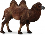 Figūrėlė kupranugaris Collecta 004-88807