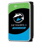 Seagate SkyHawk ST24000VE002