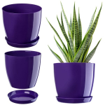 Vazonas su pagrindu Plastikinis dangtelis Vazonas 23cm Violetinės Kadax Gėlės