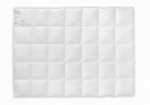 Žąsų pūkų antklodė 70% 155x200 Basic Plus 1200g PREMIUM, Žąsų pūkų antklodė 70% 155x200 Basic Plus 1200g PREMIUM