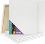 drobė 30x40 cm dailininko drobė 6 pakuočių rinkinys