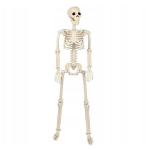 Helovino dekoracija Skeletas, baltas
