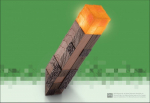 Kompiuterinis žaidimas Minecraft - Torch