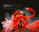 Bird Photographer of the Year: Collection 3 edition