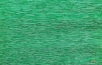 Itali&scaron;kas krepinis popierius 180g metalizuotas žalias 804 Cartotecnica