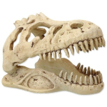 Dekoracija terariumams T-Rex kaukolė, 13,3x8,5x9 cm