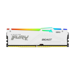 Kingston Technology Fury Beast