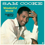 Sam Cooke - Wonderful World (The Hits) (vinilinė plok&scaron;telė, LP)