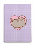 Dėklas A4 su "pusheen Moments" ir gumyte, vaikams