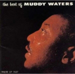 Muddy Waters - The Best of Muddy Waters (vinilinė plok&scaron;telė, LP)