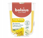 Bolsius "mimosa" kvapioji žvakė, iki 25 val. degimo