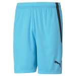 PUMA futbolo &scaron;ortai vyrams PUMA teamLIGA Shorts Blue Atoll-Puma Black - 70492440, mėlyni