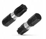 Smūginiai Torx T40 x 25 mm S2 antgaliai, 2 vnt.