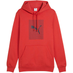 Vyri&scaron;ka džemperis Puma Ess Logo Lab Hoodie FL, raudonas 684669 15
