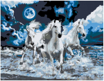 Pie&scaron;imo rinkinys Naktis 40x50