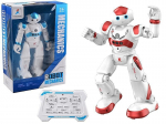 Interaktyvus robotas vaikams Adar