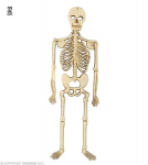 Pakabinama dekoracija Skeletas, smėlio spalvos