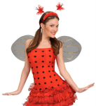 Galvos juostelė (ladybug)