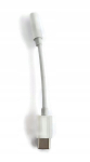Adapteris pereinamasis laidas Usb Type-c - mini Jack