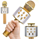Belaidis karaoke mikrofonas su garsiakalbiu