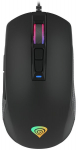 Genesis NMG-1733, juoda