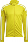 Sportinis džemperis vyrams Adidas Squadra 21 GP6465, geltonas