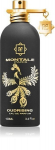 Kvapusis vanduo Montale Paris Oudrising EDP moterims/vyrams 100 ml