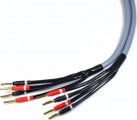 Kabel Melodika Banan x4 - Banan x4 3m szary
