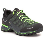 Žygio batai vyrams Salewa Ms Mtn Trainer Lite GTX