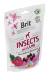 Brit Care Dog su vabzdžiais ir ėriena, 200 g
