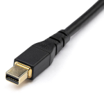 Startech displayPort Mini kabelis, 2 m