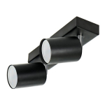 Sieninis ir lubinis &scaron;viestuvas, maks. 2x50W, IP20, juoda