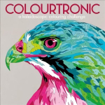 Colourtronic: A Kaleidoscopic Colour by Numbers Challenge